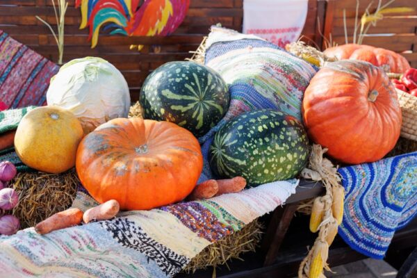 Saisonale Auswahl an Kürbissen und Gemüse an einem Marktstand